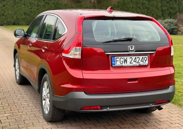 Honda CR-V cena 49900 przebieg: 302000, rok produkcji 2013 z Brzeg Dolny małe 106